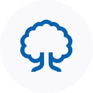 Mediu terapeutic natural